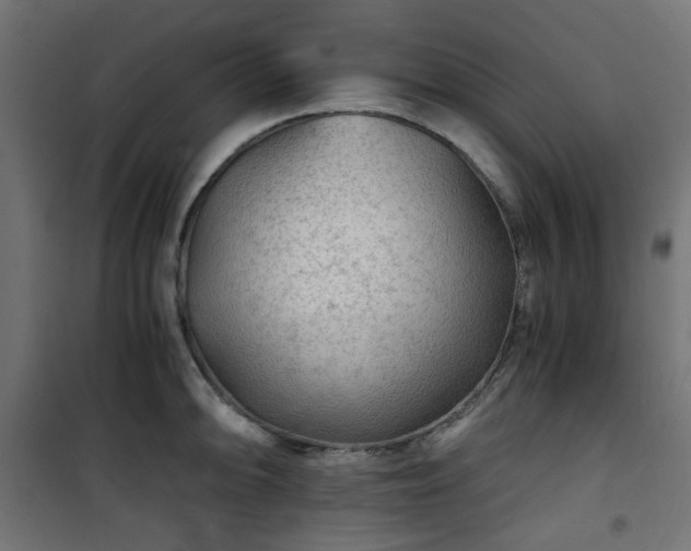 X0000101441094200807141300