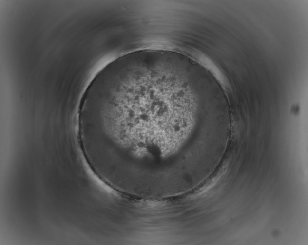 X0000101441095200807141300