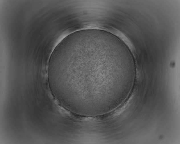 X0000101441097200807141300