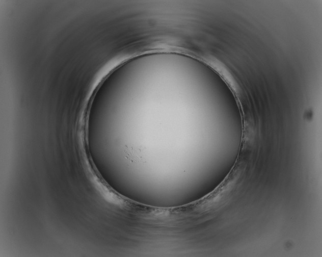 X0000101441098200807141300