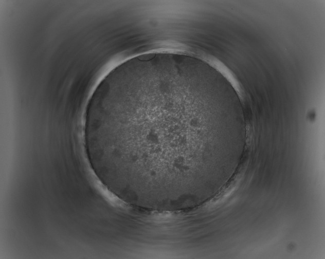 X0000101441099200807141300