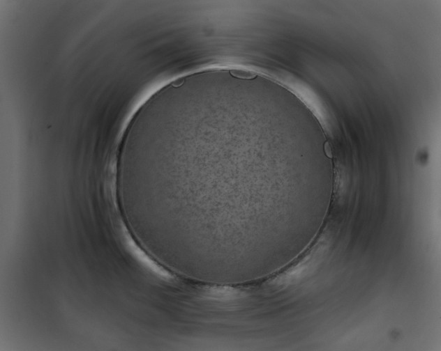 X0000101441100200807141300