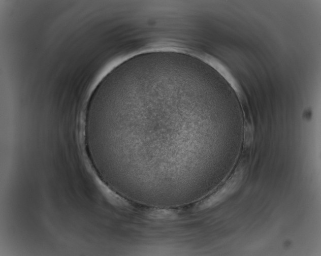 X0000101441101200807141300