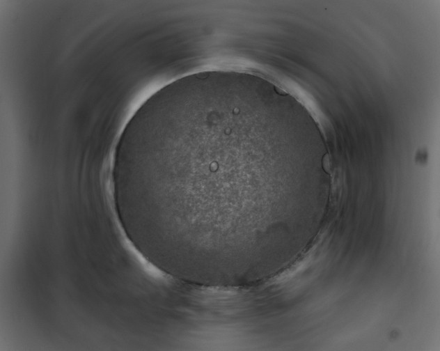 X0000101441103200807141300