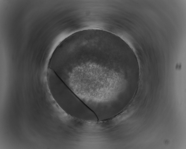 X0000101441104200807141300