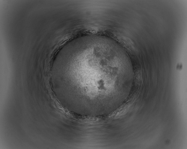 X0000101441105200807141259