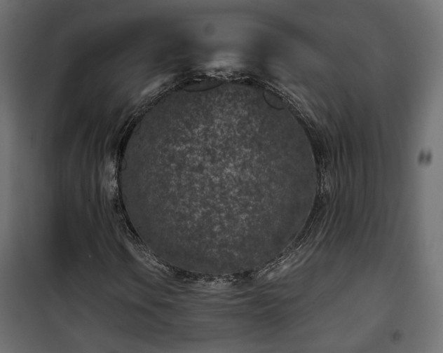 X0000101441106200807141259