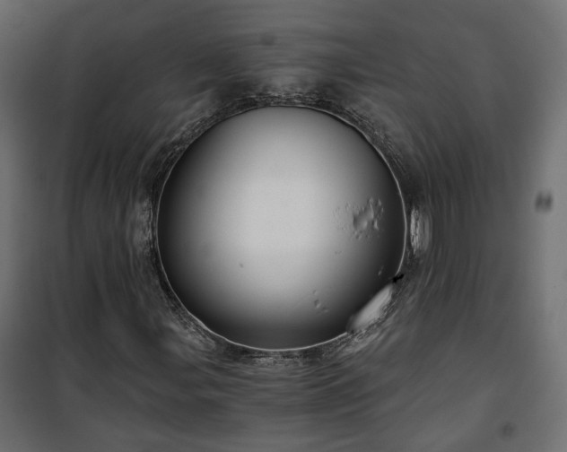 X0000101441107200807141259