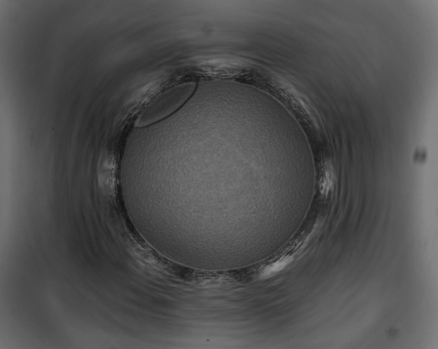 X0000101441108200807141259