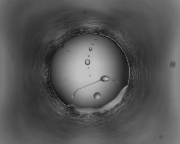 X0000101441109200807141259