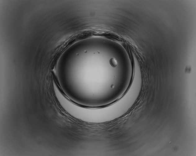 X0000101441110200807141259