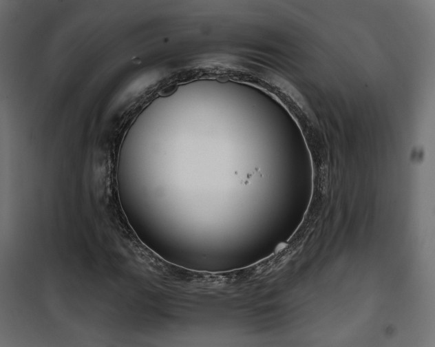 X0000101441111200807141259