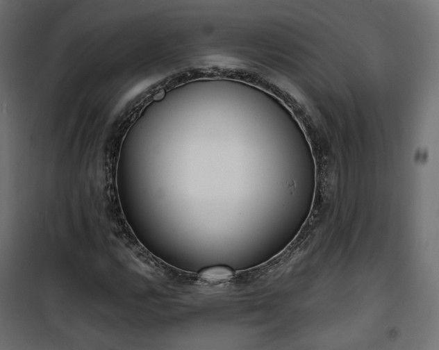 X0000101441112200807141259