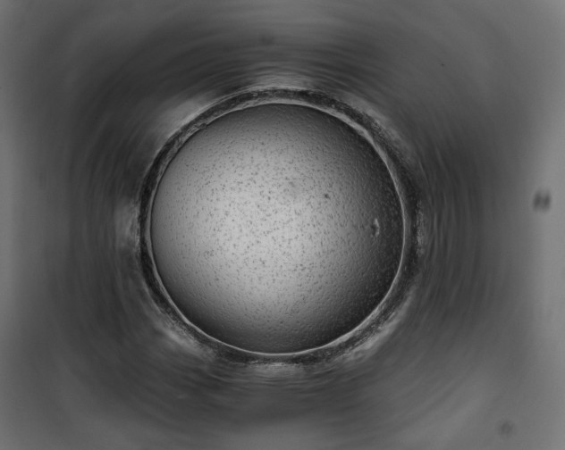 X0000101441113200807141259