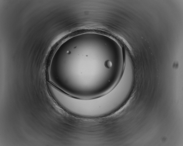 X0000101441114200807141259