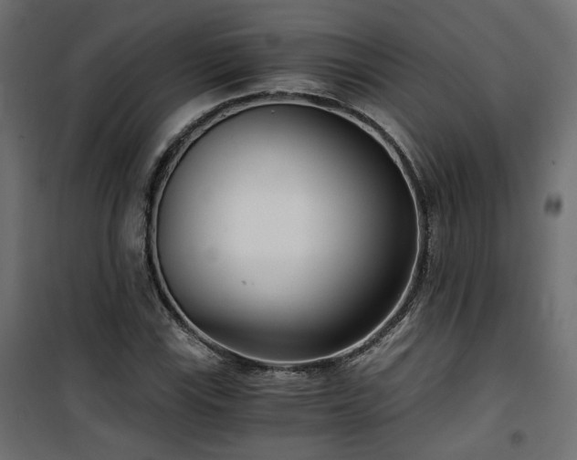 X0000101441115200807141259