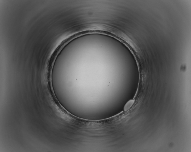 X0000101441116200807141259