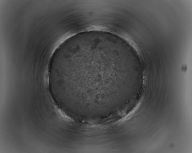 X0000101441117200807141259