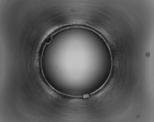 X0000101441118200807141259