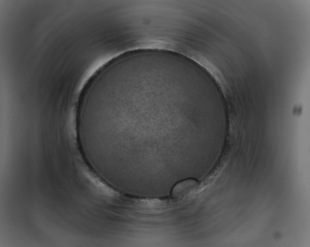 X0000101441120200807141259