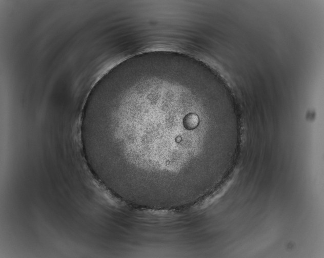 X0000101441121200807141259