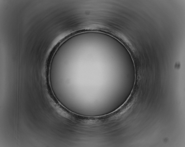 X0000101441122200807141259