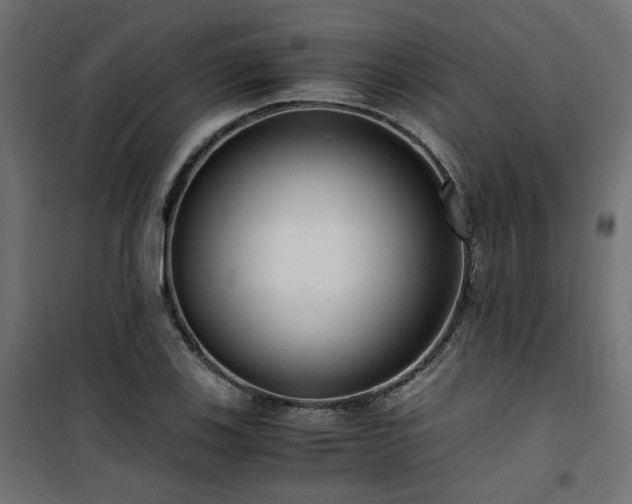 X0000101441123200807141259