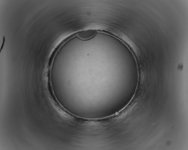 X0000101441124200807141259