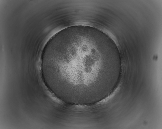 X0000101441125200807141259