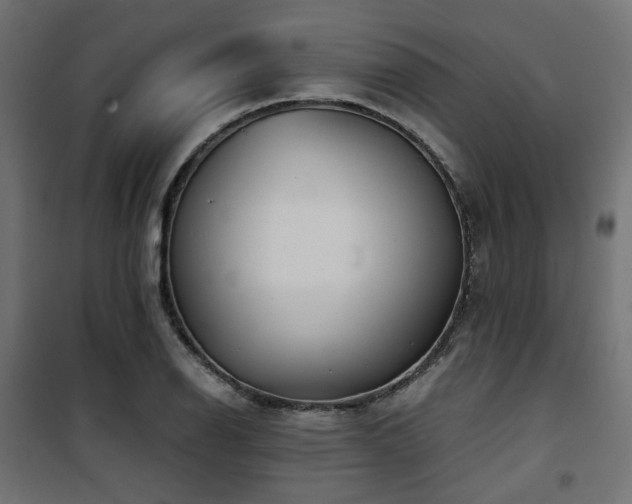 X0000101441126200807141259