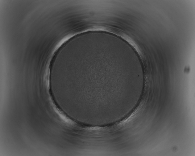 X0000101441127200807141259