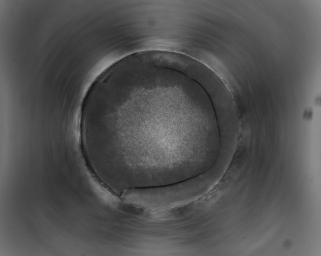 X0000101441128200807141259