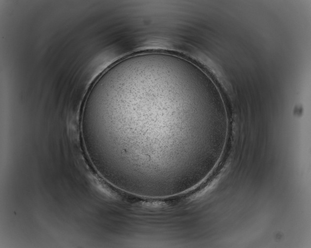 X0000101441129200807141259