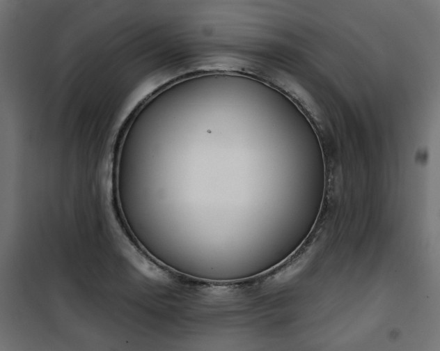 X0000101441130200807141259