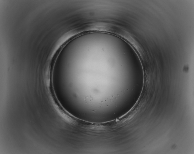 X0000101441131200807141259