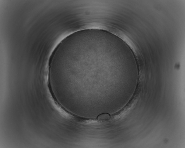 X0000101441132200807141259