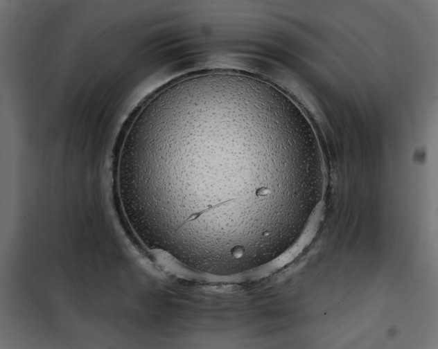 X0000101441133200807141259