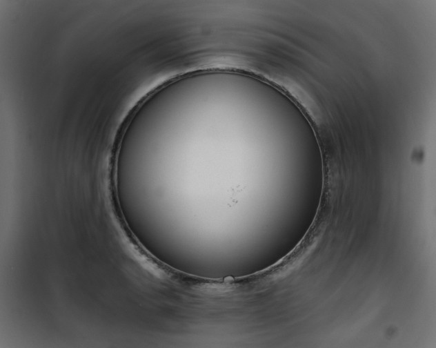 X0000101441134200807141259