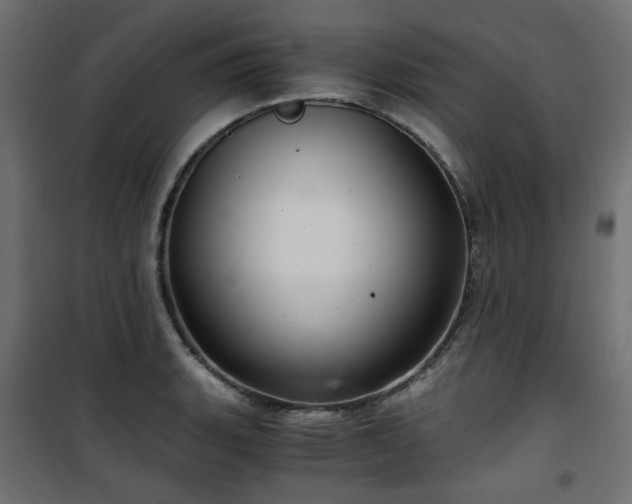 X0000101441135200807141259