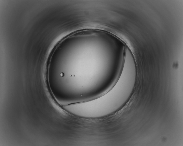 X0000101441136200807141259