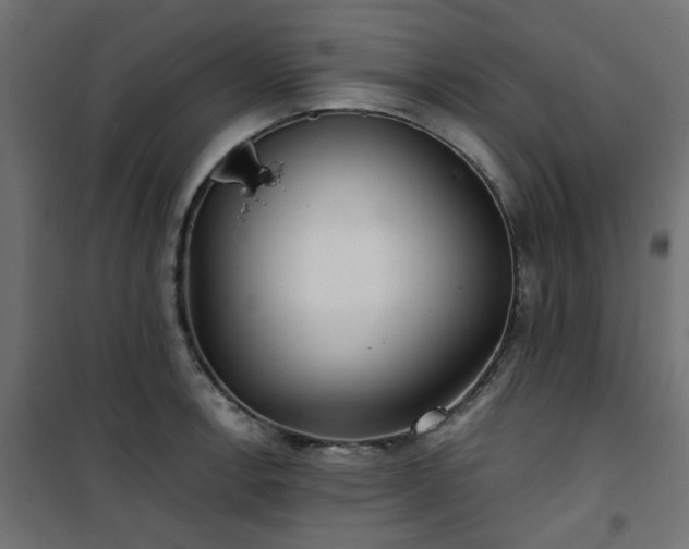 X0000101441138200807141259