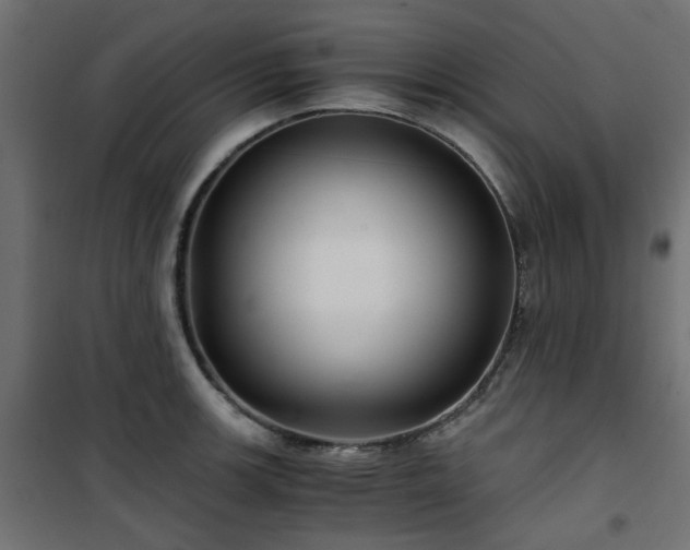 X0000101441139200807141259