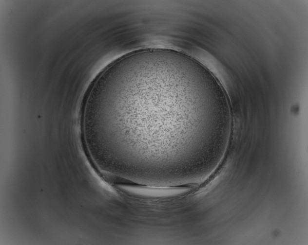 X0000101441141200807141259