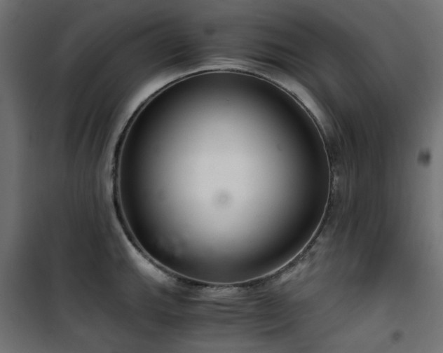 X0000101441143200807141259