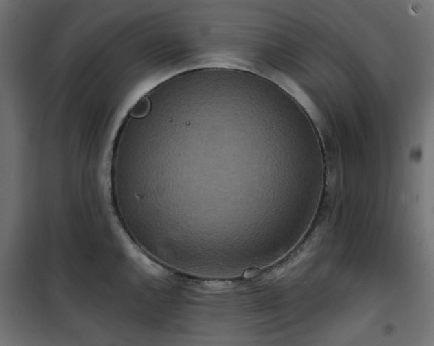 X0000101441144200807141259