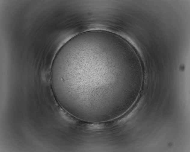 X0000101441145200807141259