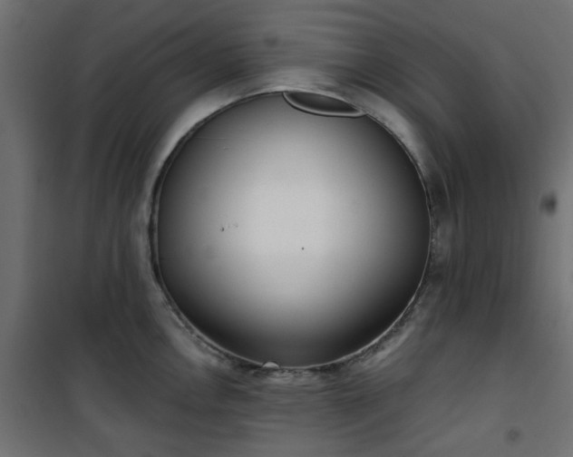 X0000101441146200807141259