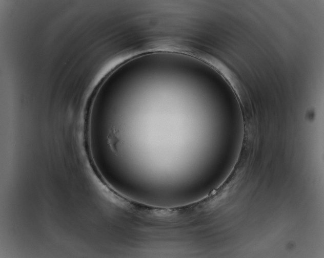 X0000101441147200807141259