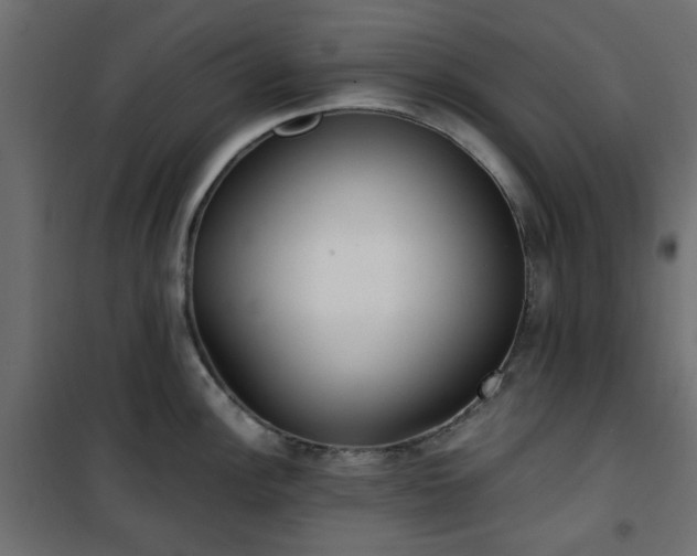 X0000101441148200807141259