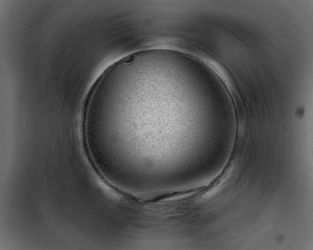 X0000101441149200807141259